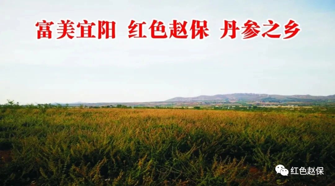 1609555723182014860.png tem.png