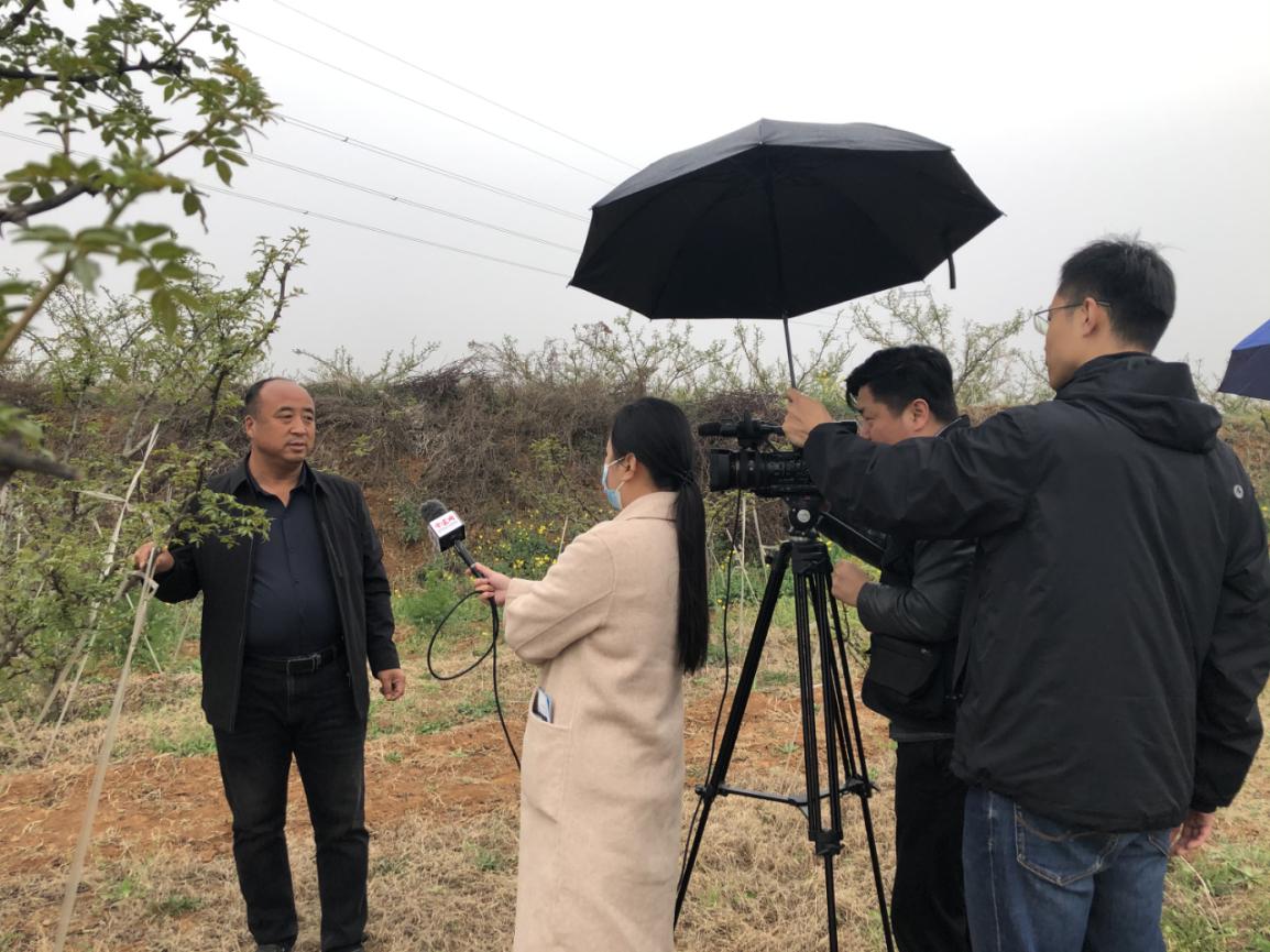 图片3中宏网.jpg