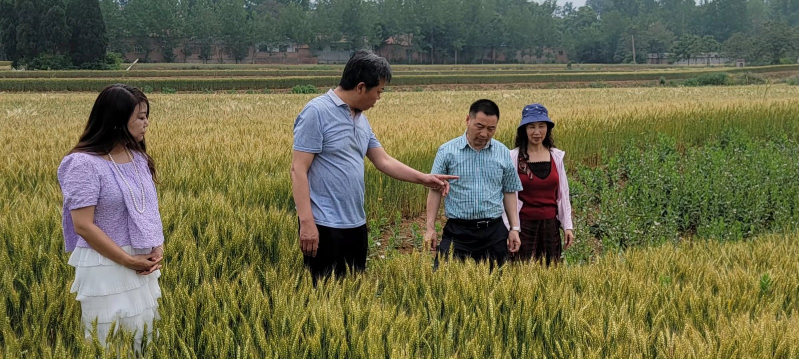 微信图片_20210524111358.jpg