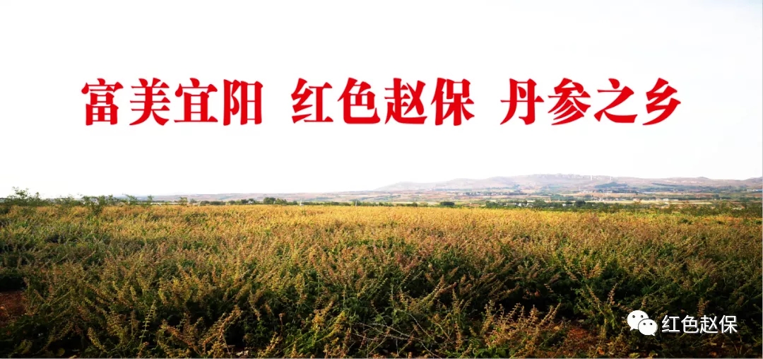1624497525416060261.png tem.png